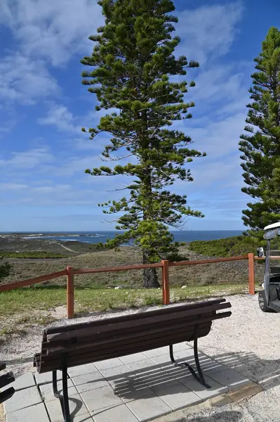 Rottnest Adası, Avustralya 2 Haziran 2025: Batı Avustralya 'nın Rottnest Adası