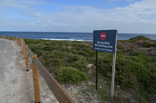 Rottnest Adası, Avustralya 2 Haziran 2025: Batı Avustralya 'nın Rottnest Adası
