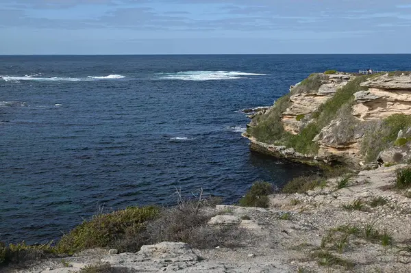 Rottnest Adası, Avustralya 2 Haziran 2025: Batı Avustralya 'nın Rottnest Adası