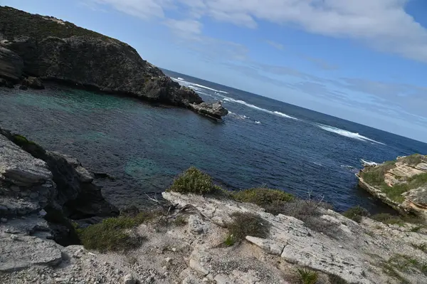 Rottnest Adası, Avustralya 2 Haziran 2025: Batı Avustralya 'nın Rottnest Adası