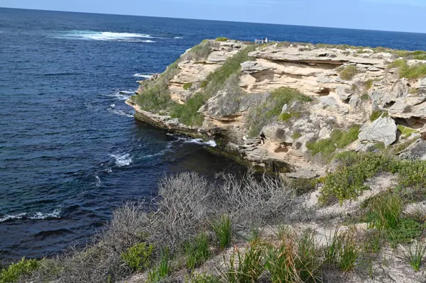 Rottnest Adası, Avustralya 2 Haziran 2025: Batı Avustralya 'nın Rottnest Adası