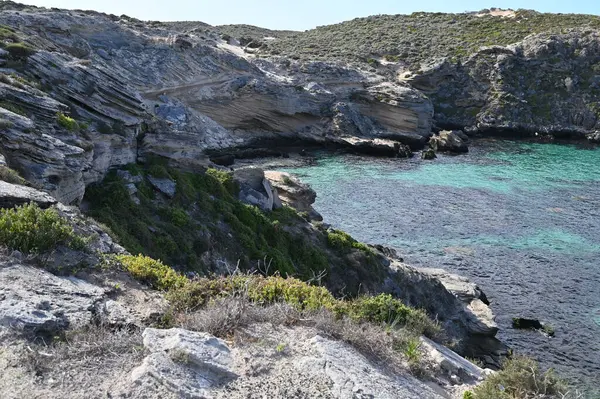 Rottnest Adası, Avustralya 2 Haziran 2025: Batı Avustralya 'nın Rottnest Adası