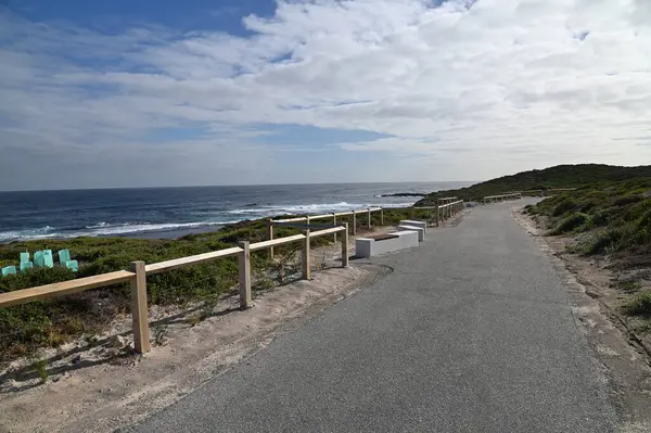 Rottnest Adası, Avustralya 2 Haziran 2025: Batı Avustralya 'nın Rottnest Adası