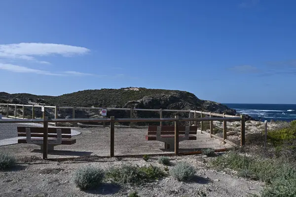 Rottnest Adası, Avustralya 2 Haziran 2025: Batı Avustralya 'nın Rottnest Adası