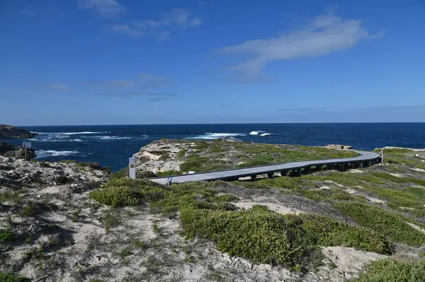 Rottnest Adası, Avustralya 2 Haziran 2025: Batı Avustralya 'nın Rottnest Adası
