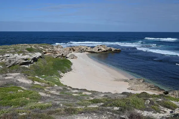 Rottnest Adası, Avustralya 2 Haziran 2025: Batı Avustralya 'nın Rottnest Adası