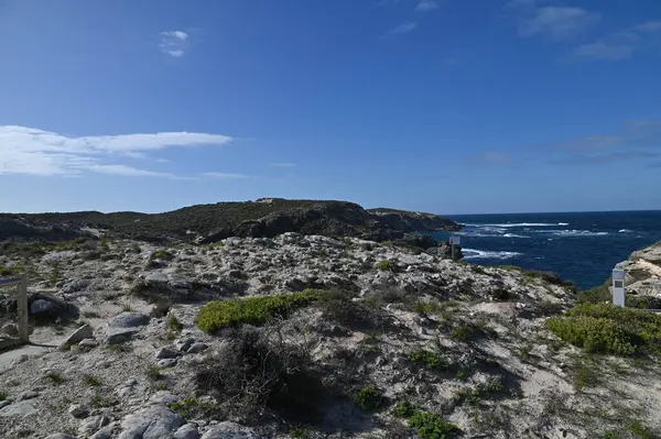Rottnest Adası, Avustralya 2 Haziran 2025: Batı Avustralya 'nın Rottnest Adası