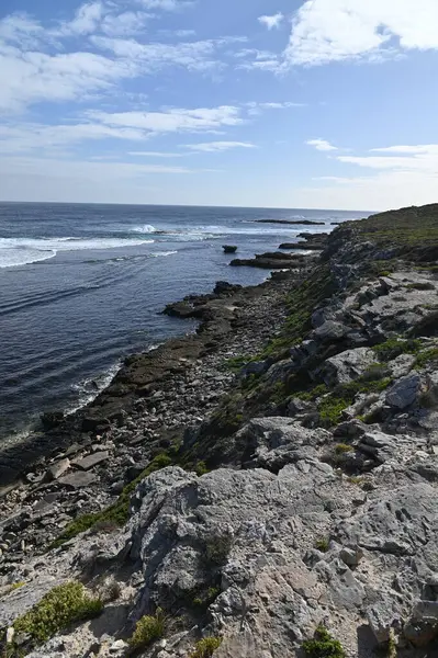 Rottnest Adası, Avustralya 2 Haziran 2025: Batı Avustralya 'nın Rottnest Adası