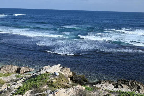 Rottnest Adası, Avustralya 2 Haziran 2025: Batı Avustralya 'nın Rottnest Adası