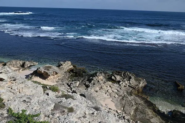 Rottnest Adası, Avustralya 2 Haziran 2025: Batı Avustralya 'nın Rottnest Adası