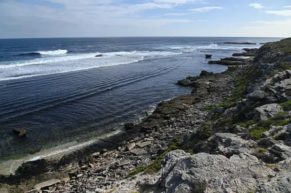 Rottnest Adası, Avustralya 2 Haziran 2025: Batı Avustralya 'nın Rottnest Adası