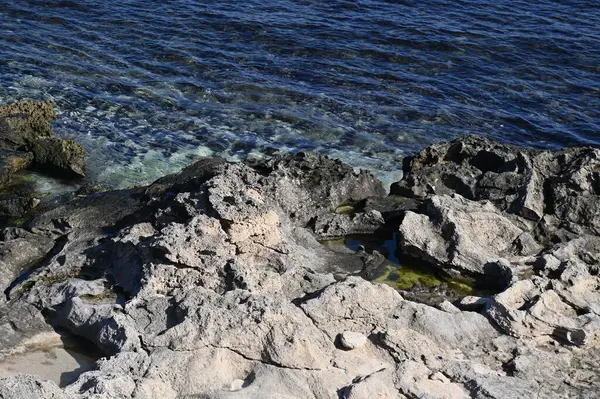 Rottnest Adası, Avustralya 2 Haziran 2025: Batı Avustralya 'nın Rottnest Adası