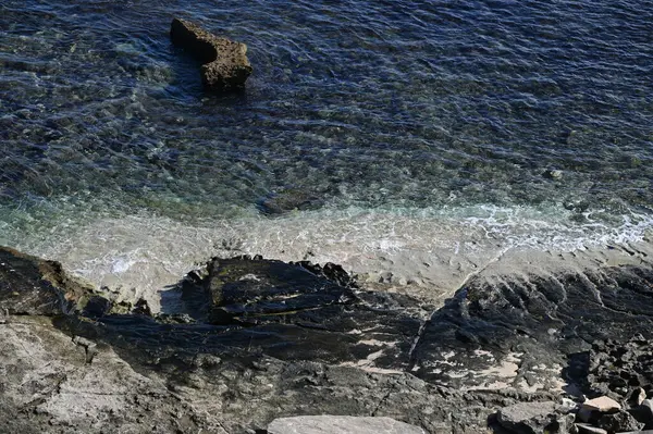 Rottnest Adası, Avustralya 2 Haziran 2025: Batı Avustralya 'nın Rottnest Adası