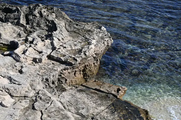 Rottnest Adası, Avustralya 2 Haziran 2025: Batı Avustralya 'nın Rottnest Adası