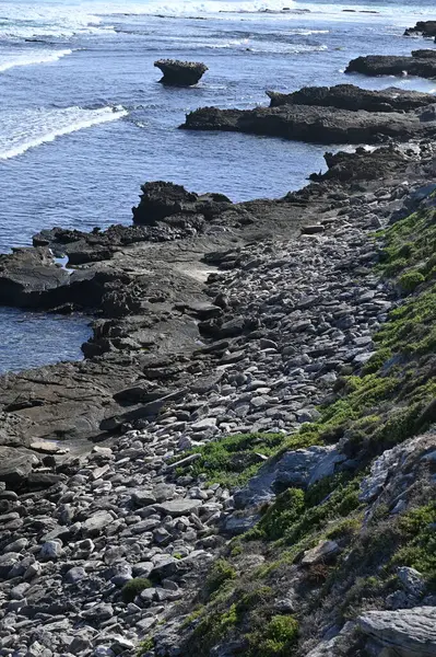 Rottnest Adası, Avustralya 2 Haziran 2025: Batı Avustralya 'nın Rottnest Adası