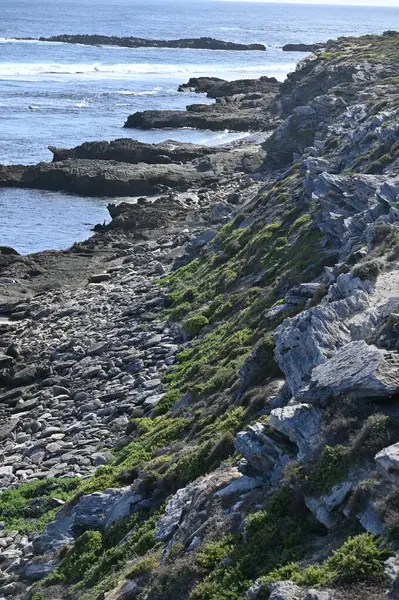 Rottnest Adası, Avustralya 2 Haziran 2025: Batı Avustralya 'nın Rottnest Adası