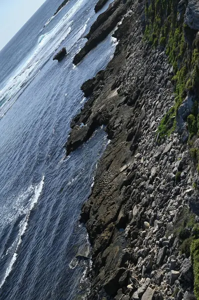 Rottnest Adası, Avustralya 2 Haziran 2025: Batı Avustralya 'nın Rottnest Adası