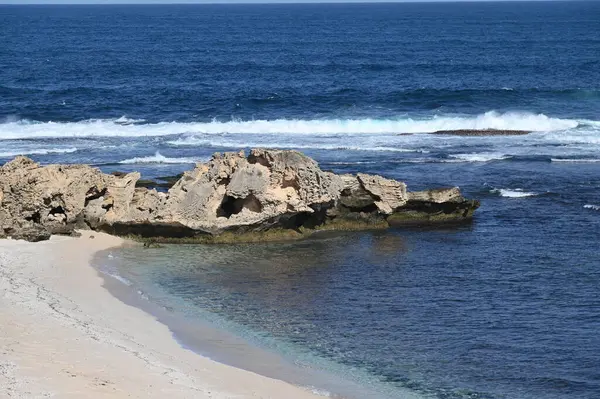 Rottnest Adası, Avustralya 2 Haziran 2025: Batı Avustralya 'nın Rottnest Adası
