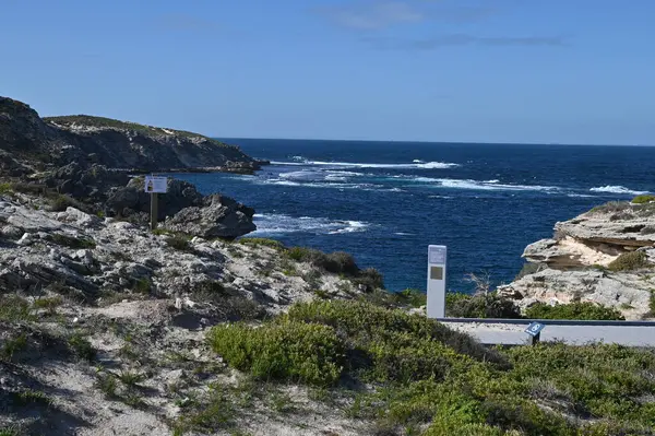 Rottnest Adası, Avustralya 2 Haziran 2025: Batı Avustralya 'nın Rottnest Adası