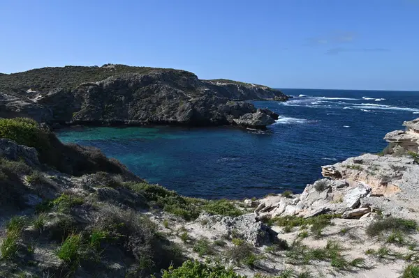 Rottnest Adası, Avustralya 2 Haziran 2025: Batı Avustralya 'nın Rottnest Adası