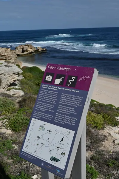 Rottnest Adası, Avustralya 2 Haziran 2025: Batı Avustralya 'nın Rottnest Adası