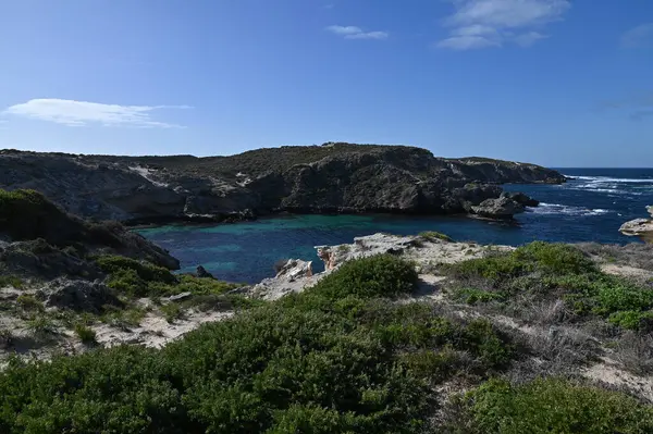 Rottnest Adası, Avustralya 2 Haziran 2025: Batı Avustralya 'nın Rottnest Adası