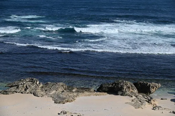 Rottnest Adası, Avustralya 2 Haziran 2025: Batı Avustralya 'nın Rottnest Adası