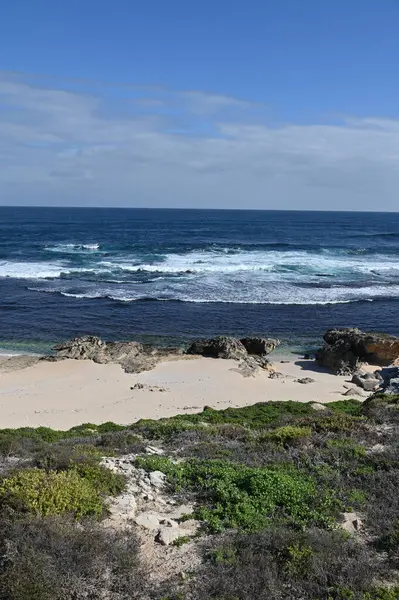 Rottnest Adası, Avustralya 2 Haziran 2025: Batı Avustralya 'nın Rottnest Adası