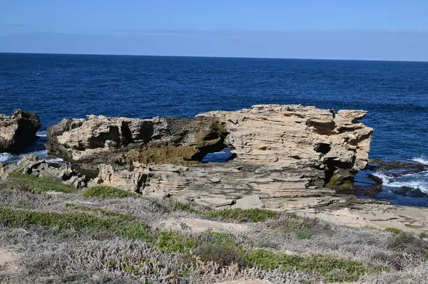 Rottnest Adası, Avustralya 2 Haziran 2025: Batı Avustralya 'nın Rottnest Adası