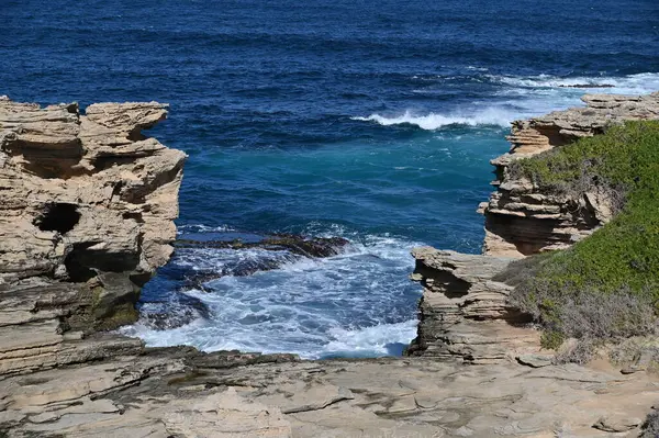 Rottnest Adası, Avustralya 2 Haziran 2025: Batı Avustralya 'nın Rottnest Adası