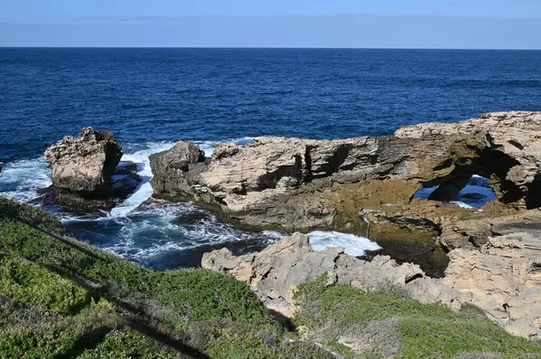 Rottnest Adası, Avustralya 2 Haziran 2025: Batı Avustralya 'nın Rottnest Adası