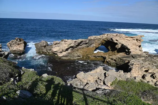 Rottnest Adası, Avustralya 2 Haziran 2025: Batı Avustralya 'nın Rottnest Adası