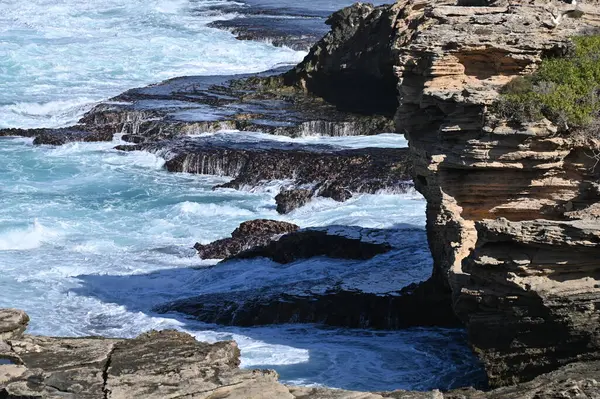 Rottnest Adası, Avustralya 2 Haziran 2025: Batı Avustralya 'nın Rottnest Adası