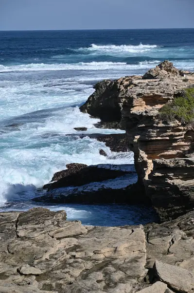 Rottnest Adası, Avustralya 2 Haziran 2025: Batı Avustralya 'nın Rottnest Adası