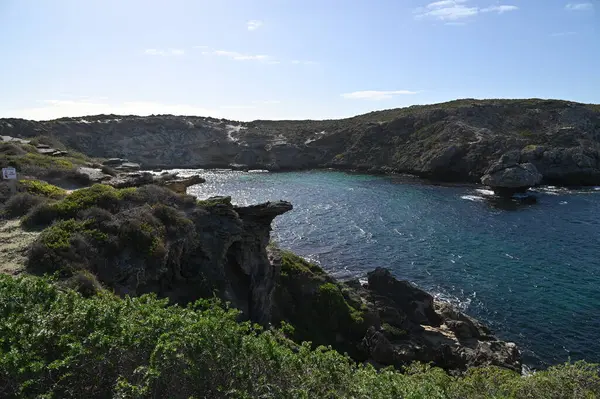 Rottnest Adası, Avustralya 2 Haziran 2025: Batı Avustralya 'nın Rottnest Adası