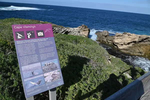 Rottnest Adası, Avustralya 2 Haziran 2025: Batı Avustralya 'nın Rottnest Adası