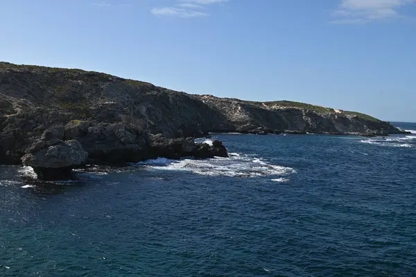 Rottnest Adası, Avustralya 2 Haziran 2025: Batı Avustralya 'nın Rottnest Adası