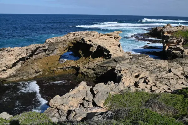 Rottnest Adası, Avustralya 2 Haziran 2025: Batı Avustralya 'nın Rottnest Adası