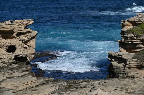 Rottnest Adası, Avustralya 2 Haziran 2025: Batı Avustralya 'nın Rottnest Adası