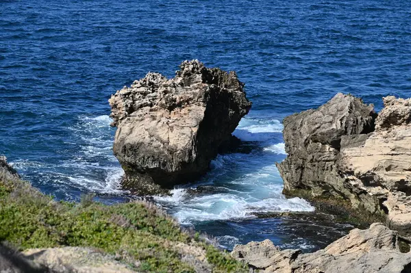 Rottnest Adası, Avustralya 2 Haziran 2025: Batı Avustralya 'nın Rottnest Adası