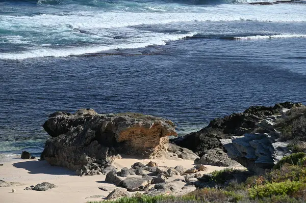Rottnest Adası, Avustralya 2 Haziran 2025: Batı Avustralya 'nın Rottnest Adası