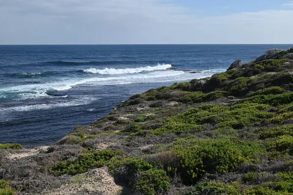 Rottnest Adası, Avustralya 2 Haziran 2025: Batı Avustralya 'nın Rottnest Adası