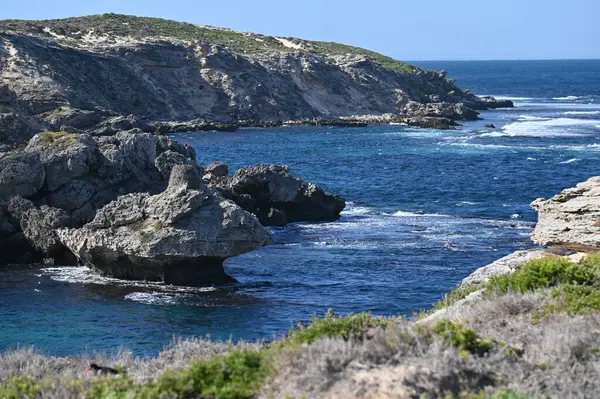 Rottnest Adası, Avustralya 2 Haziran 2025: Batı Avustralya 'nın Rottnest Adası
