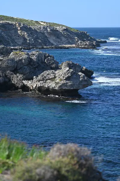 Rottnest Adası, Avustralya 2 Haziran 2025: Batı Avustralya 'nın Rottnest Adası