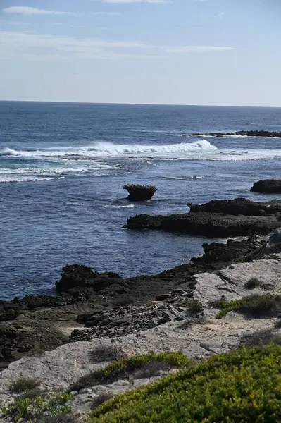 Rottnest Adası, Avustralya 2 Haziran 2025: Batı Avustralya 'nın Rottnest Adası