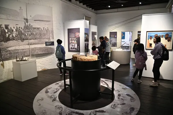 Rottnest Adası, Avustralya 2 Haziran 2025: Batı Avustralya 'nın Rottnest Adası