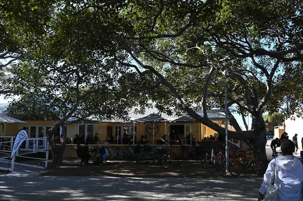 Rottnest Adası, Avustralya 2 Haziran 2025: Batı Avustralya 'nın Rottnest Adası