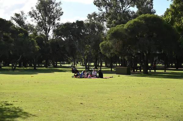 Whiteman, Avustralya 1 Haziran 2025: The Whiteman Park, Batı Avustralya 'nın Perth' ü