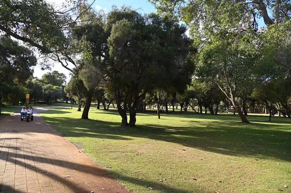 Whiteman, Avustralya 1 Haziran 2025: The Whiteman Park, Batı Avustralya 'nın Perth' ü