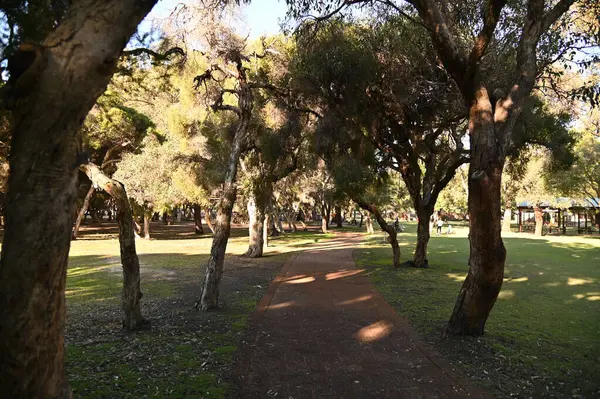 Whiteman, Avustralya 1 Haziran 2025: The Whiteman Park, Batı Avustralya 'nın Perth' ü